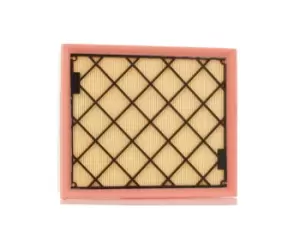 Image of RIDEX Air filter FORD,FORD USA 8A0679 5183030,5243186,DS739601AC Engine air filter,Engine filter