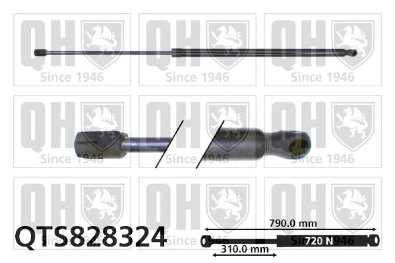 Image of QUINTON HAZELL Tailgate strut QUINTON HAZELL QTS828324