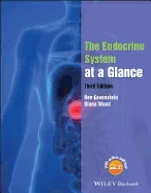 Image of endocrine system at a glance