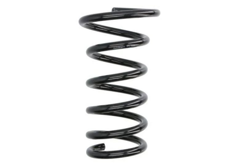 Image of Magnum Technology Coil spring Magnum Technology SV095