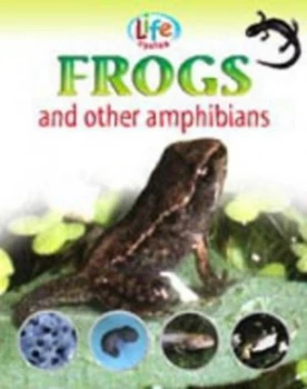 Image of Frogs and Other Amphibians by Sally Morgan Paperback