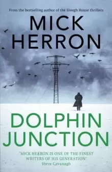 Image of Dolphin Junction