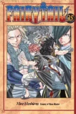 Image of fairy tail volume 35