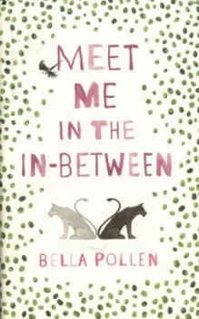 Image of Meet Me in the in-Between by Bella Pollen Hardback