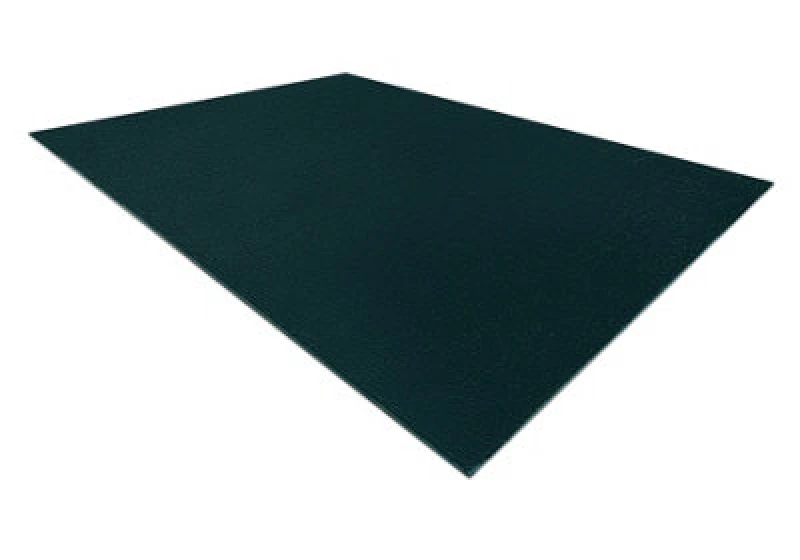 Image of RugsX Modern Washing Carpet Lindo Emerald Green, Anti-Slip, Shaggy 60X100 Cm