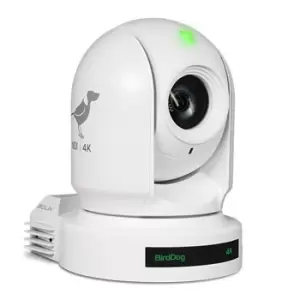Image of BirdDog P400 White