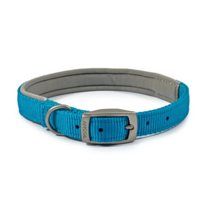 Image of ANCOL Ancol - An Pad Nylon Collar Blue 39-48 - 713283 5016646696076