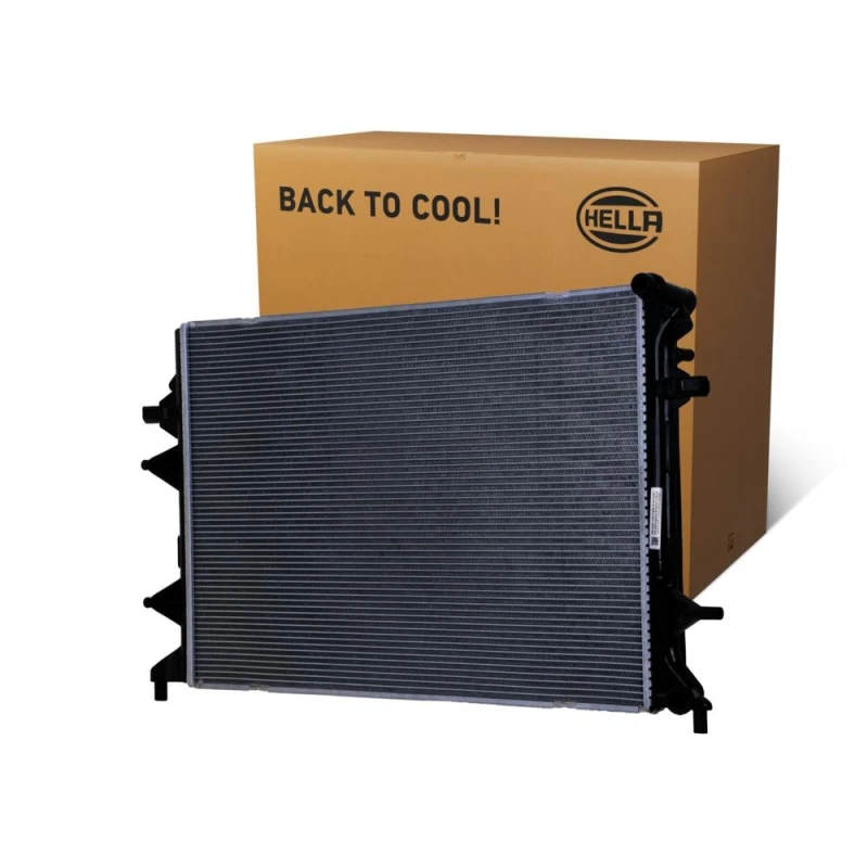 Image of HELLA Engine radiator HELLA 8MK 366 301-241