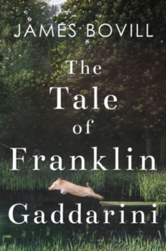 Image of The Tale of Franklin Gaddarini Paperback / softback