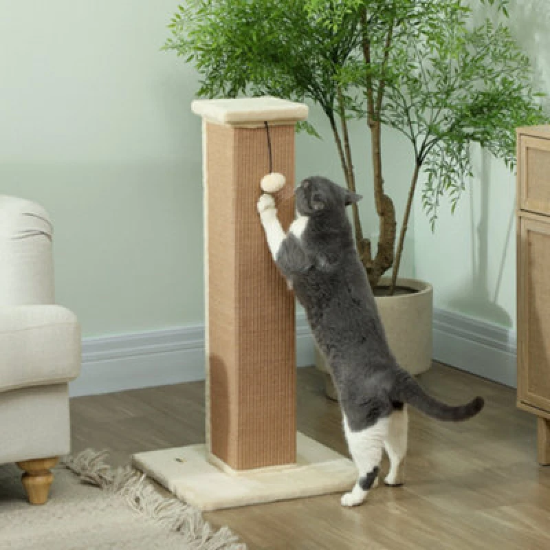 Image of PawHut Cat Scratching Post 81cm Cat Scratcher w/ Hanging Ball, Soft Plush Beige