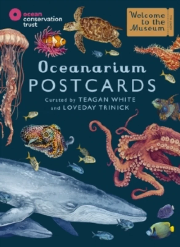 Image of Oceanarium Postcards Postcard book or pack