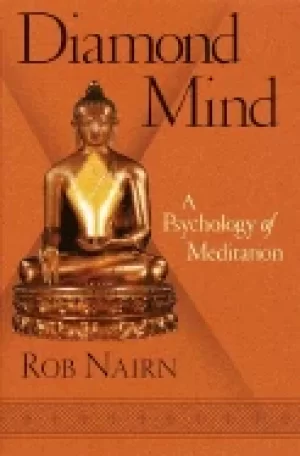 Image of diamond mind a psychology of meditation