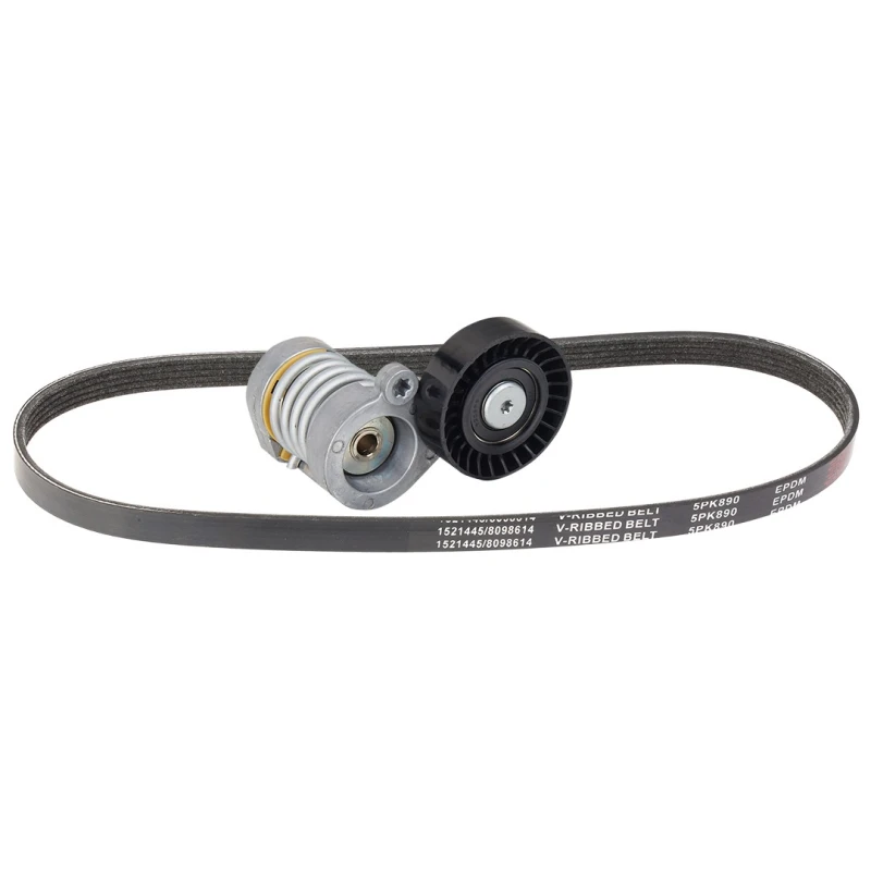 Image of RIDEX 542R0914 V-ribbed belt set V-Ribbed Belt Set (542)