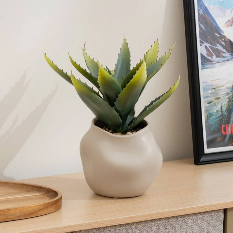 Image of Scottish Everlastings Ltd 30cm Aloe in Ceramic pot in Green Green Unisex
