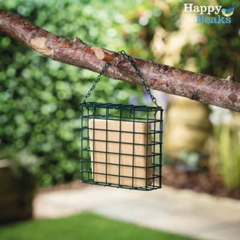 Image of Garden Gear Premium High Energy Suet Blocks Insect & Mealworm Flavour Garden Bird Feed Treat Happy Beaks (6 Pack)