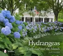 Image of Hydrangeas : Cape Cod and the Islands
