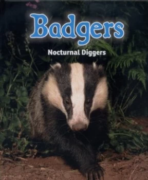 Image of Badgers by Rebecca Rissman Hardback