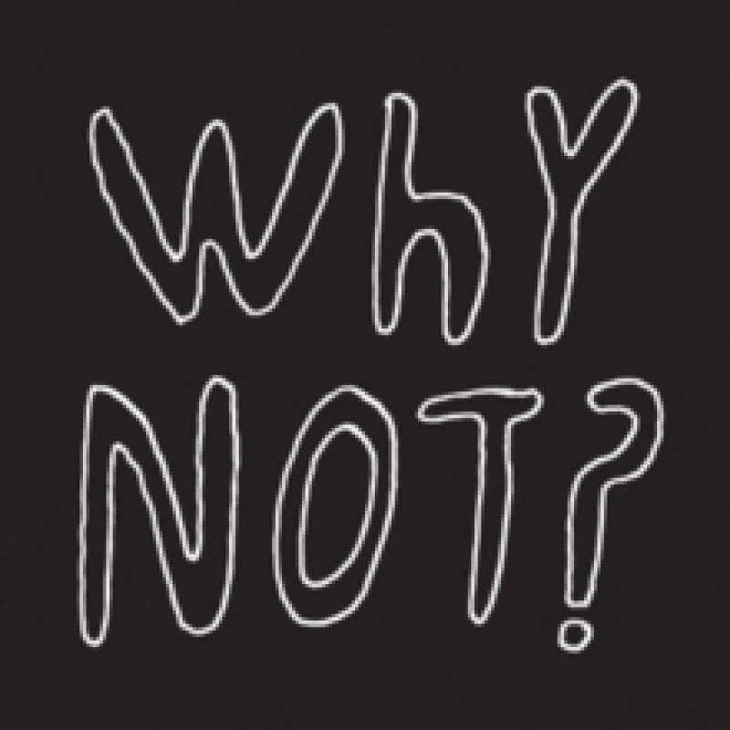 Image of Why Not? Vinyl