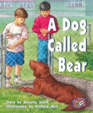 Image of A Dog Called Bear PM Level 19 Set A Purple by