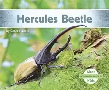 Image of hercules beetle