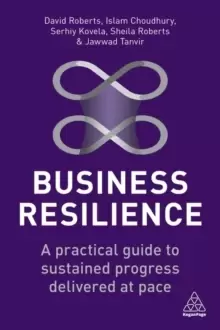 Image of Business Resilience : A Practical Guide to Sustained Progress Delivered at Pace