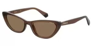 image of Polaroid Sunglasses PLD 6142/S Polarized 09Q/SP