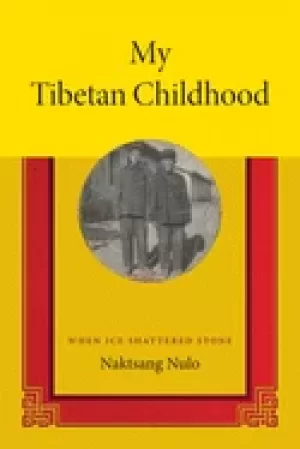 Image of my tibetan childhood when ice shattered stone