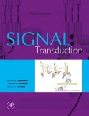 Image of signal transduction
