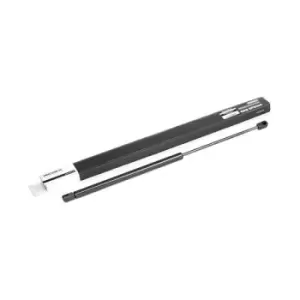 Image of RIDEX Tailgate strut FORD 219G0257 1477988,1592821,1683269 7S71N406A10AD,7S71N406A10AE