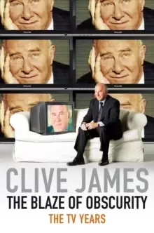 Image of The Blaze of Obscurity : The TV Years