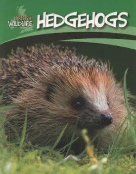 Image of Hedgehogs by Sally Morgan Paperback