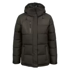 Image of Clique Womens/Ladies Colorado Padded Jacket (L) (Dark Grey)