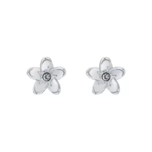 image of Ted Baker BEAAUU Blossom Flower Stud Earring - Silver