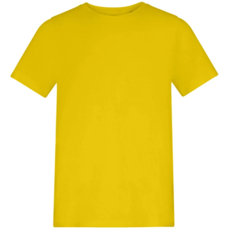 Image of Awdis AT001B boys's Children's T shirt in Multicolour