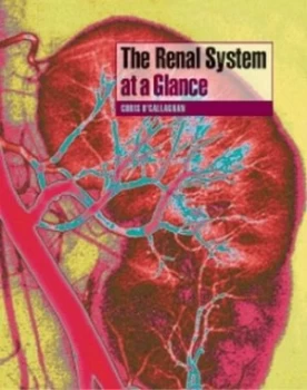 Image of The Renal System at a Glance by Chris O Callaghan Paperback