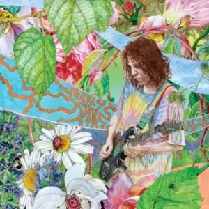 Image of Shimmer Into Nature by Ed Wynne Vinyl Album