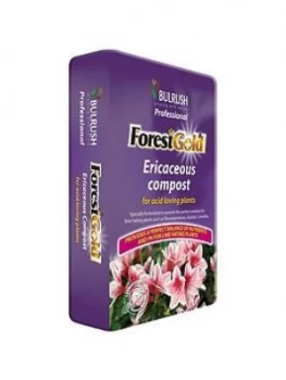 Image of Ericaceous Compost 70L Bag