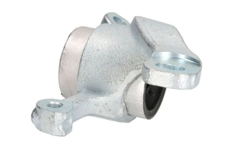 Image of REINHOCH Trailing arm / Suspension arm bush REINHOCH RH14-3049