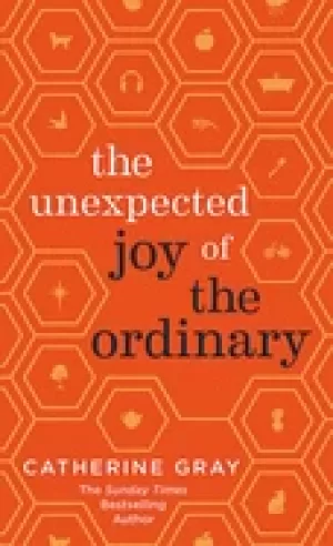 Image of unexpected joy of the ordinary
