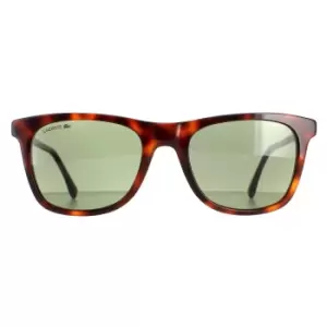 Image of Square Dark Havana Green L933S