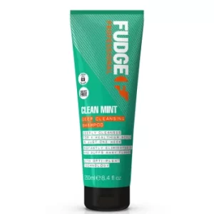 image of Clean Mint Shampoo 250ml