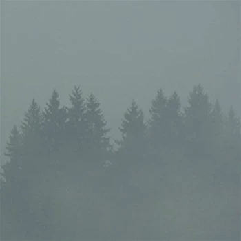 Image of Max Loderbauer - Donnerwetter Vinyl
