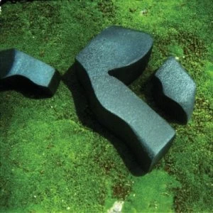 Image of Heart Pressed Between Stones by Camila Fuchs CD Album