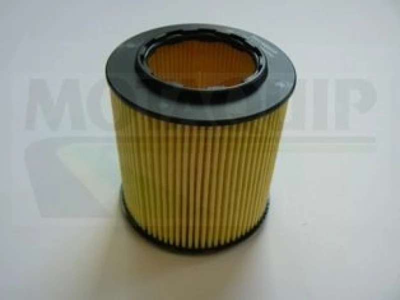 Image of MOTAQUIP Oil filter MOTAQUIP VFL539