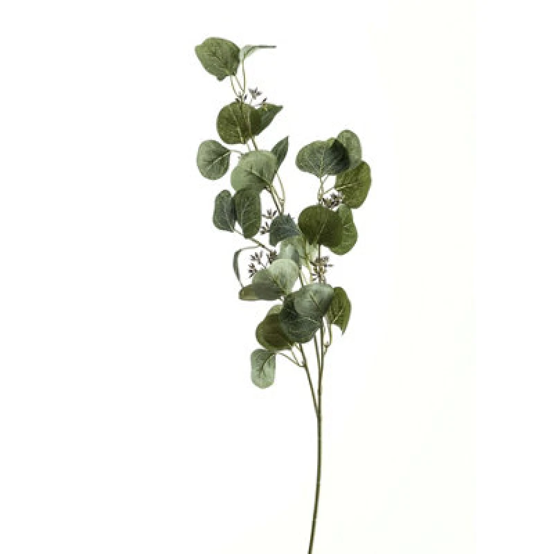 Image of Eucalyptus Stem Spray
