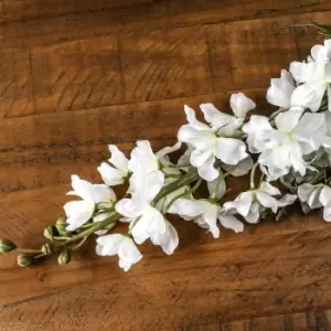 Image of Tall White Delphinium Stem