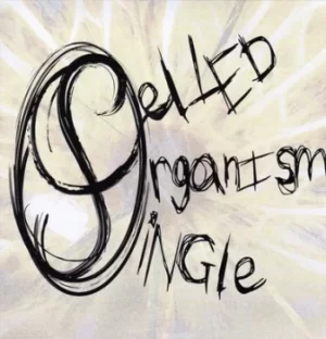 image of Splinter in the Eye by Single Celled Organism CD Album