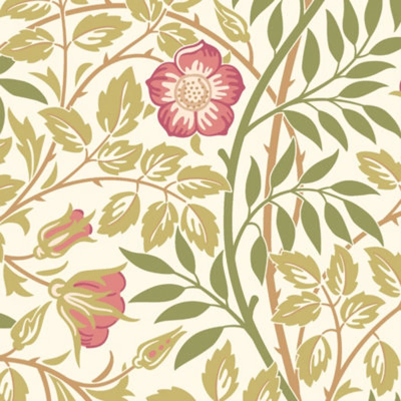 Image of Hoopla Walls Rosehip Trail Rose Pink Smooth Matt Wallpaper