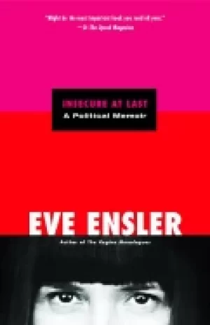 Image of insecure at last a political memoir