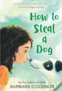 Image of how to steal a dog a novel